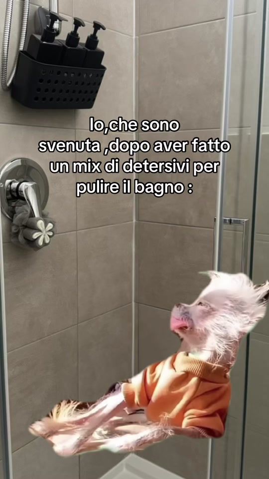 TikTok video thumbnail by cchiara96