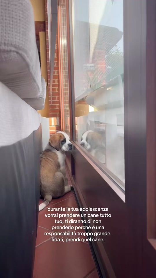 TikTok video thumbnail by greta.gerottoo