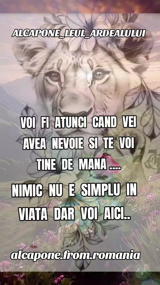 TikTok video thumbnail by alcapone.from.romania