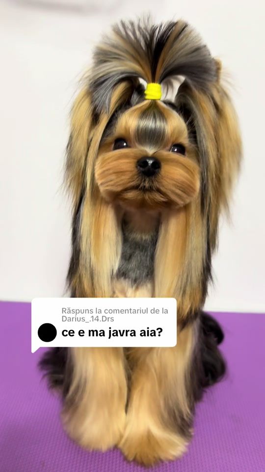TikTok video thumbnail by bambikayahachiko