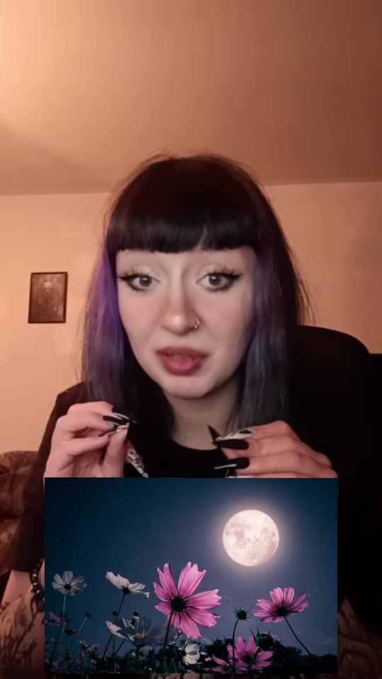 TikTok video thumbnail by borrie_