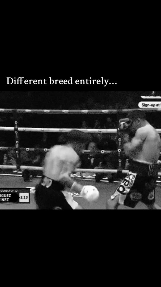 TikTok video thumbnail by basicallyboxingbrand
