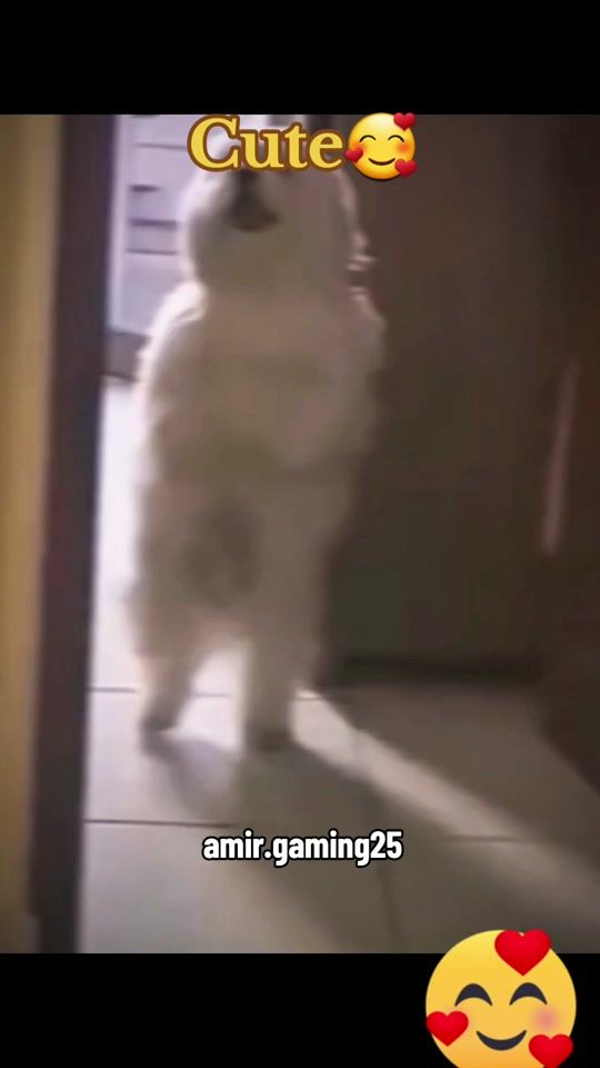 TikTok video thumbnail by amir.gaming25