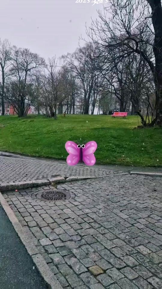 TikTok video thumbnail by mounaomabdo