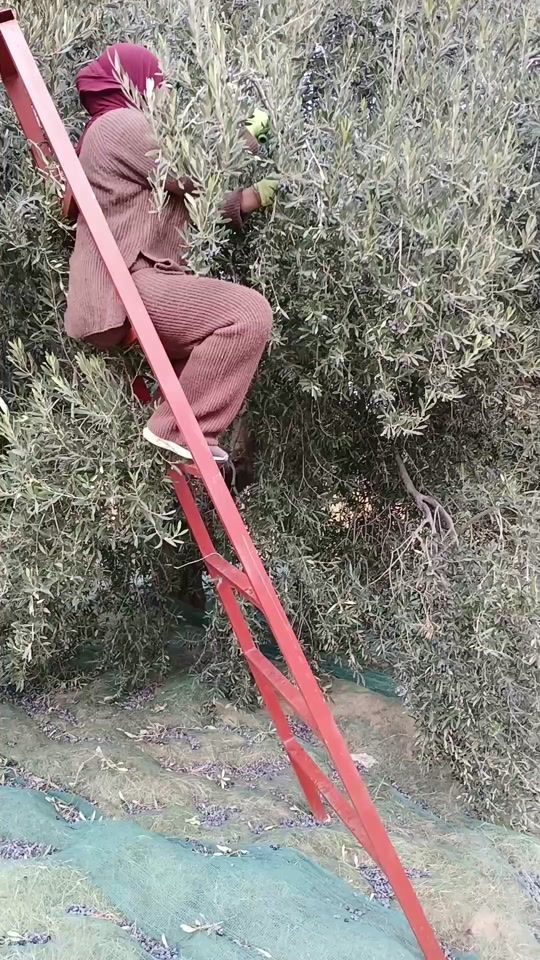 TikTok video thumbnail by nawagham2