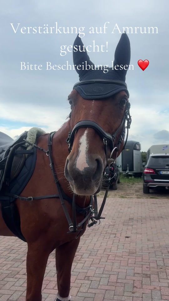 TikTok video thumbnail by jaikandr