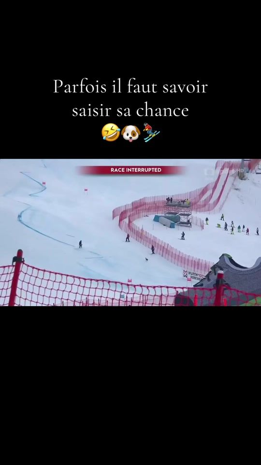TikTok video thumbnail by whoof.fr