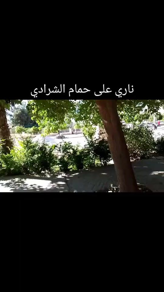 TikTok video thumbnail by med43087