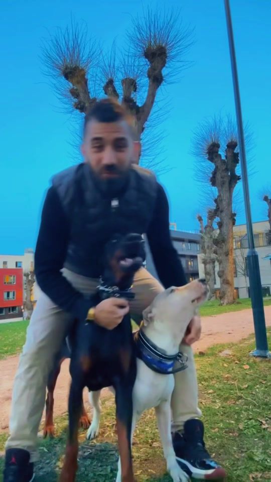 TikTok video thumbnail by chicodenvita