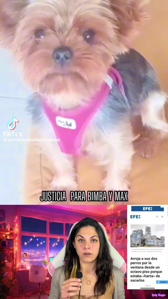 TikTok video thumbnail by ladydagga