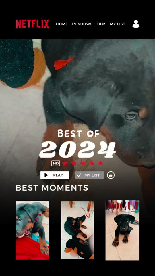 TikTok video thumbnail by orellanajessica5