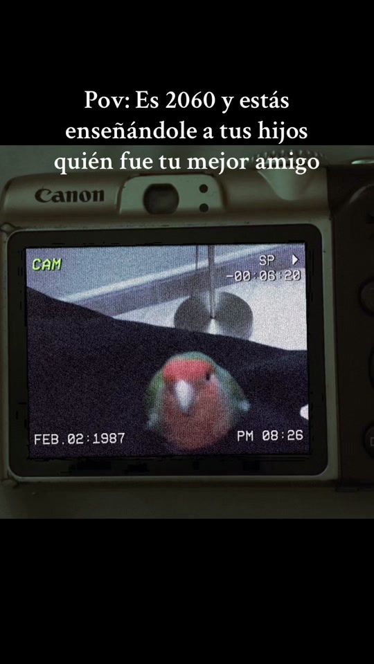 TikTok video thumbnail by almadeatv