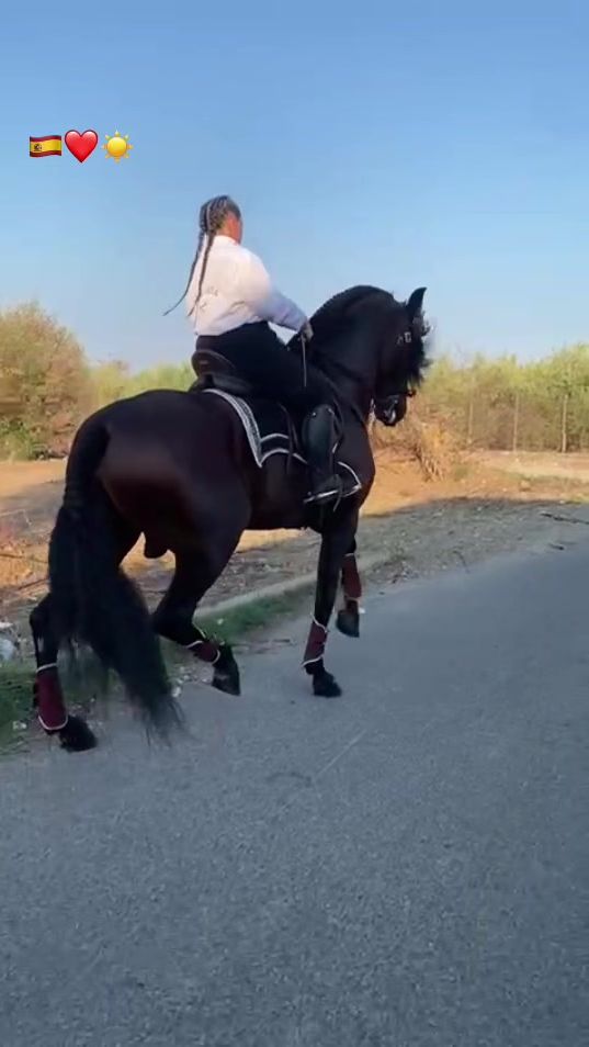 TikTok video thumbnail by francesca.carlu