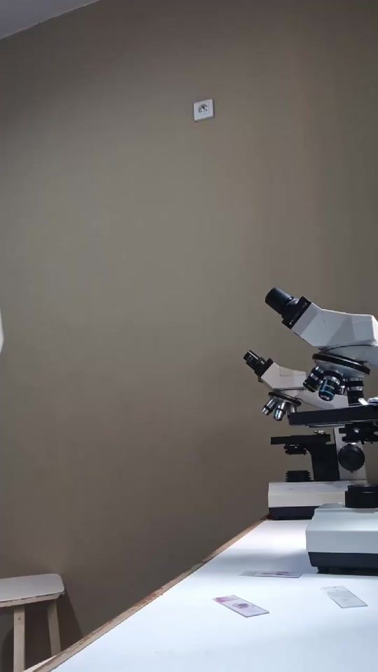 TikTok video thumbnail by biologiste.modest