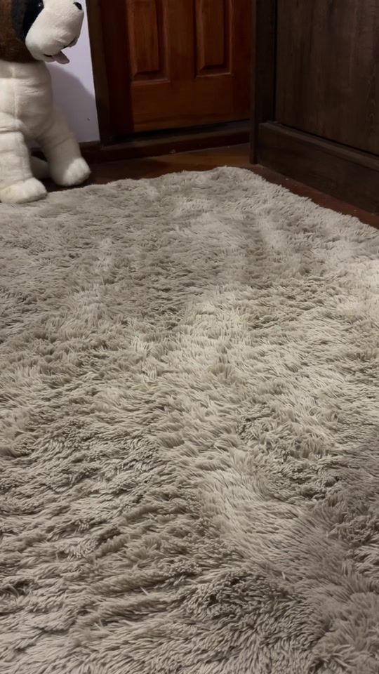 TikTok video thumbnail by loeych3rry