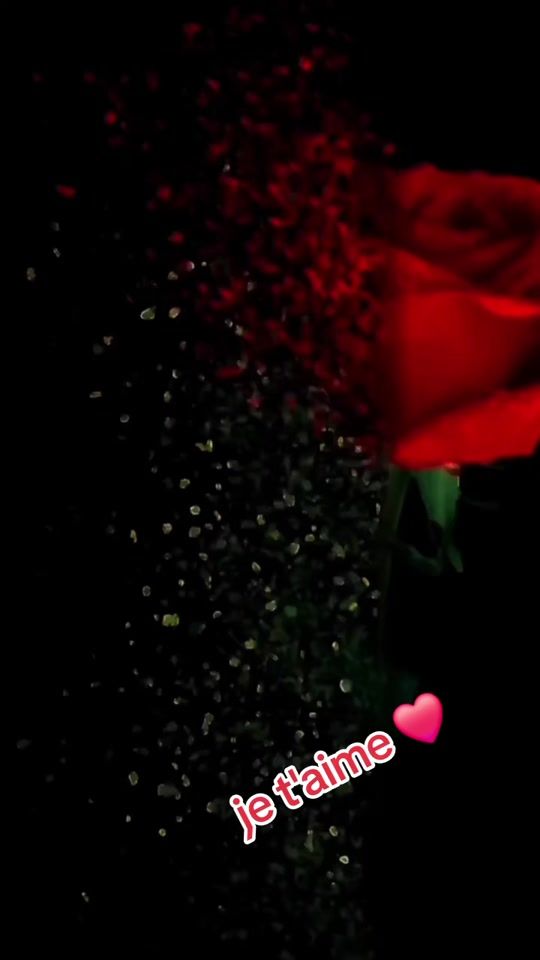 TikTok video thumbnail by freddychauffeur