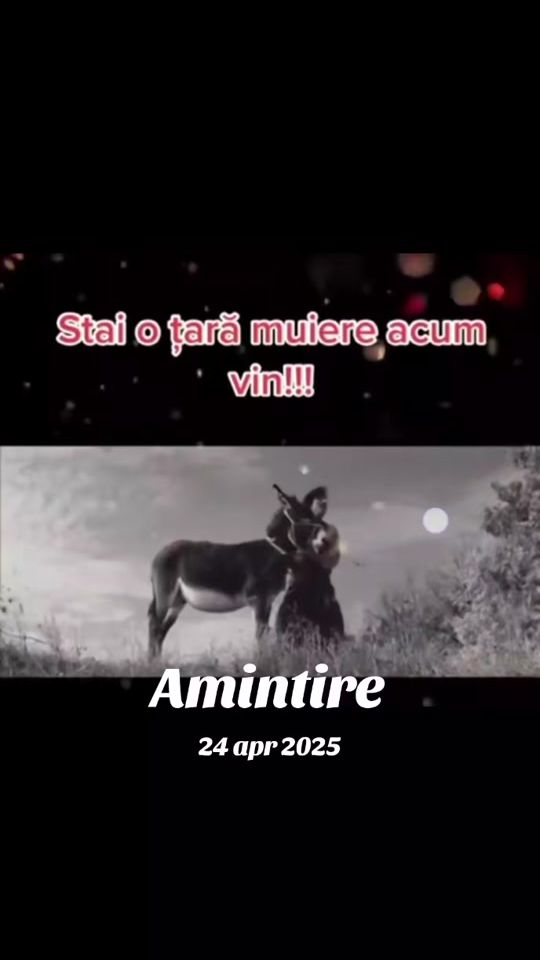 TikTok video thumbnail by geanina341