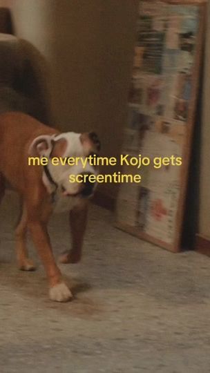 TikTok video thumbnail by ddsteve0