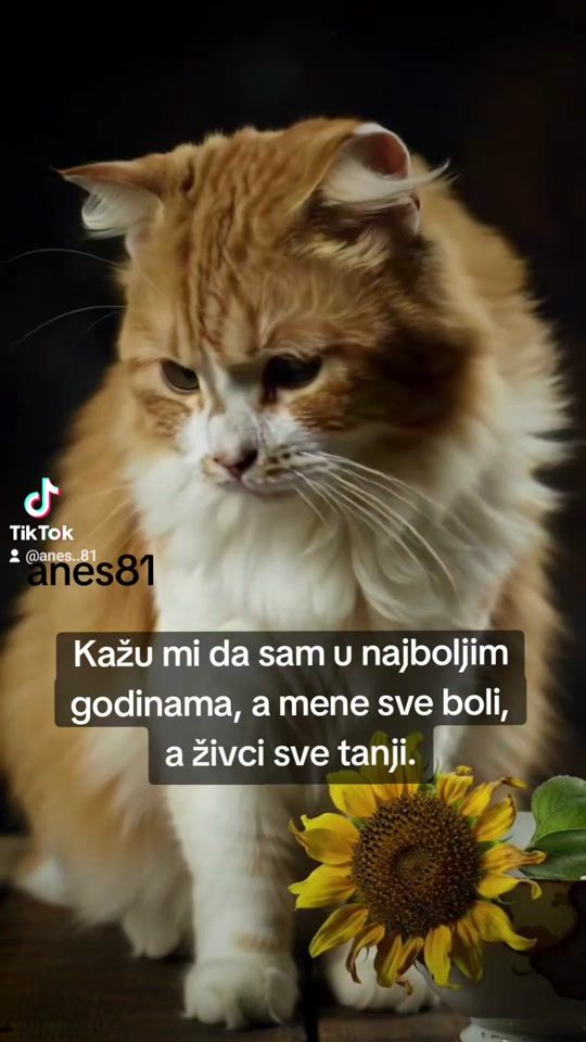 TikTok video thumbnail by anes..81