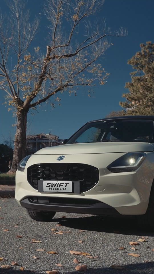 TikTok video thumbnail by suzuki_italia