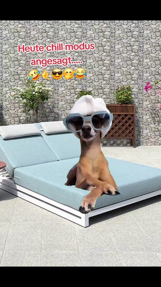 TikTok video thumbnail by bella.91c