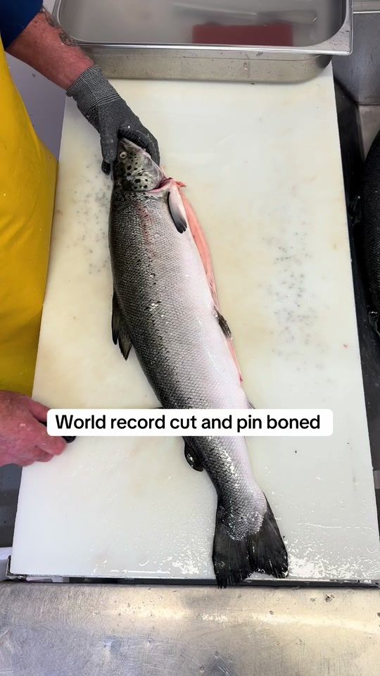 TikTok video thumbnail by keenanseafood