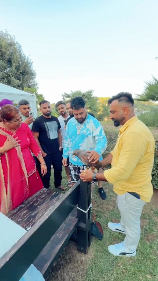 TikTok video thumbnail by padda_bai