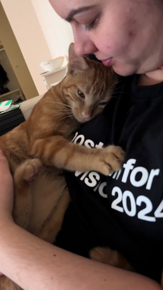 TikTok video thumbnail by shelbytheorangecat