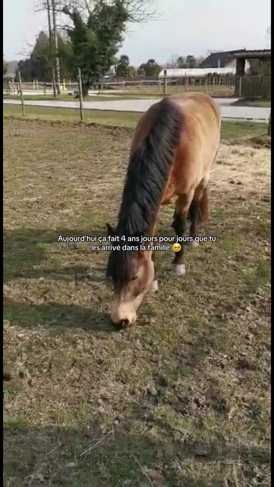 TikTok video thumbnail by alyagex