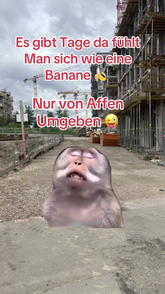 TikTok video thumbnail by gfrastsackel