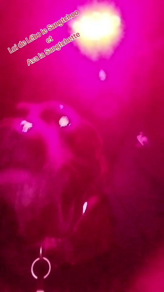 TikTok video thumbnail by lebolesangtchooo
