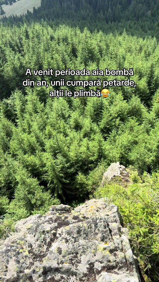 TikTok video thumbnail by valentinvale32