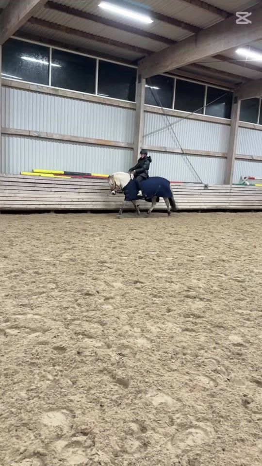 TikTok video thumbnail by freja_og_ronja