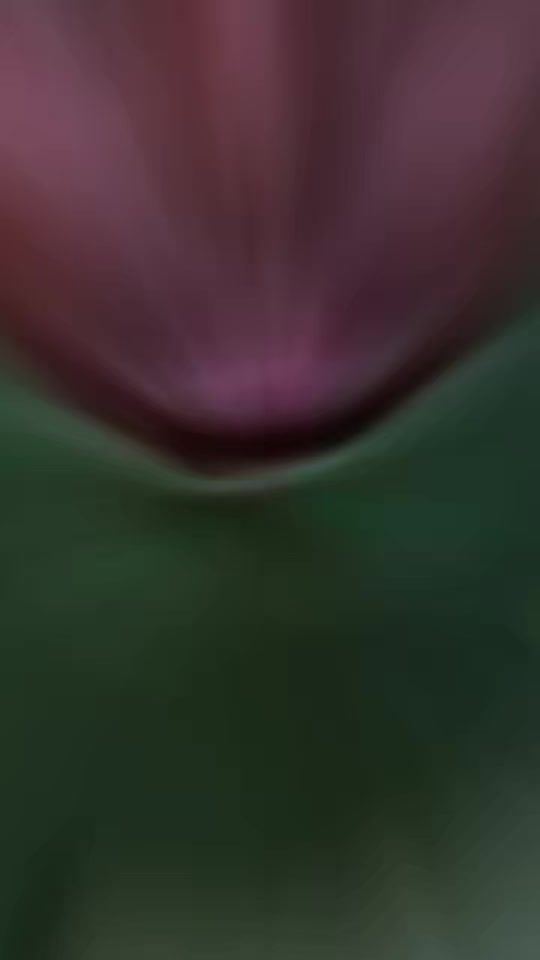 TikTok video thumbnail by fulanie7
