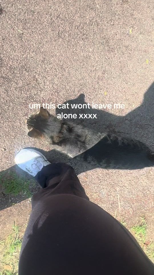 TikTok video thumbnail by jadeeconnolly