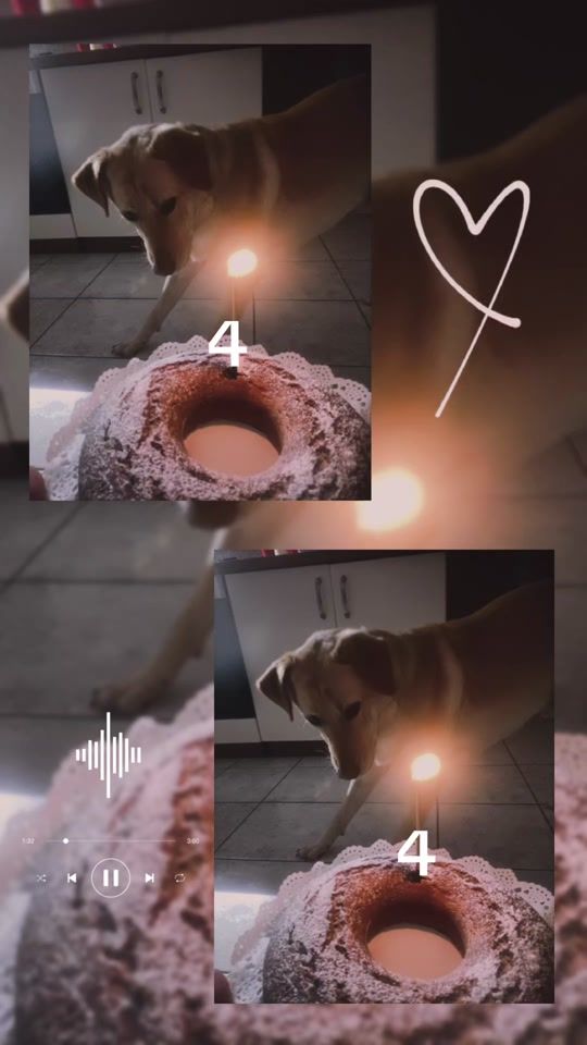 TikTok video thumbnail by angelica_amedeo