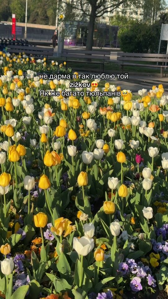 TikTok video thumbnail by olesiahulchevska