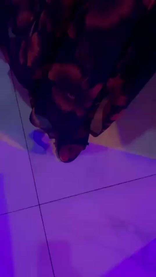 TikTok video thumbnail by ramaseriefassema2