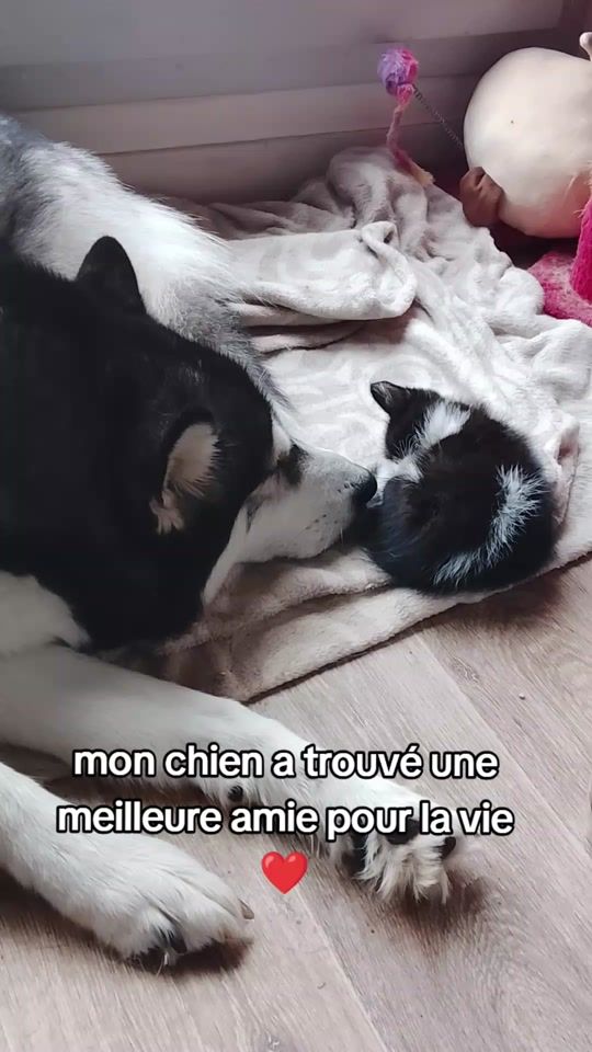 TikTok video thumbnail by so_lenn2