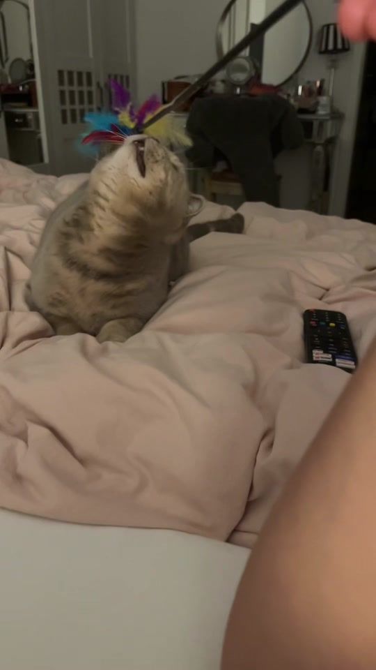 TikTok video thumbnail by pinkispretty33