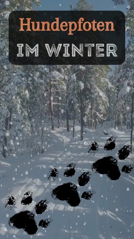 TikTok video thumbnail by vestibularsyndrom