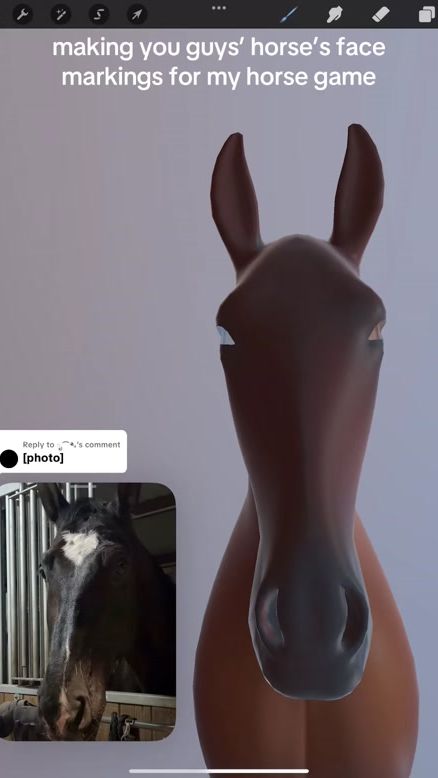 TikTok video thumbnail by equistride_