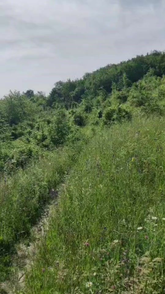 TikTok video thumbnail by torettomtb