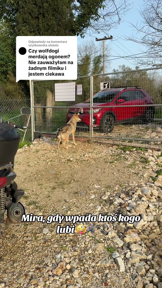TikTok video thumbnail by patrycjapodhorodecka