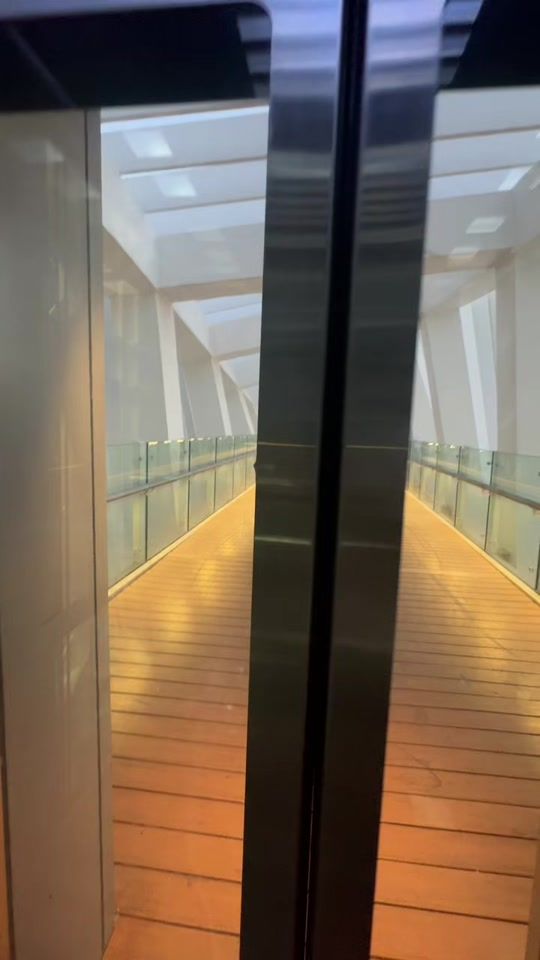 TikTok video thumbnail by vincentdeguethary