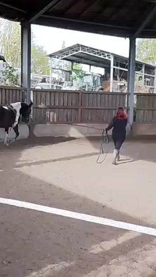 TikTok video thumbnail by mandywagner4