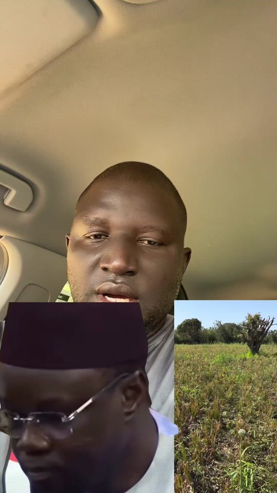 TikTok video thumbnail by dawour.agri