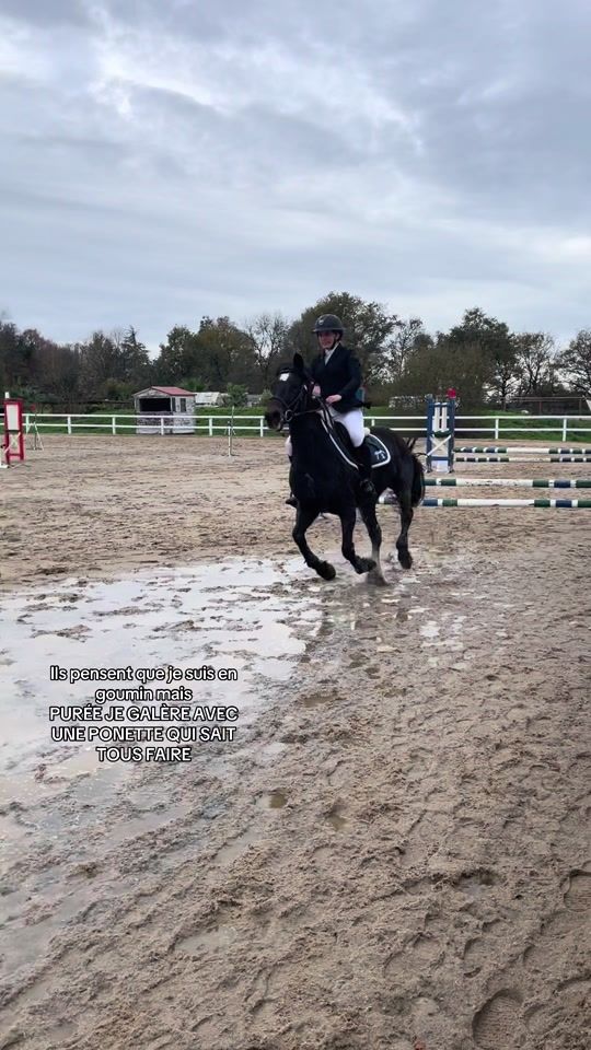 TikTok video thumbnail by horse.12.3