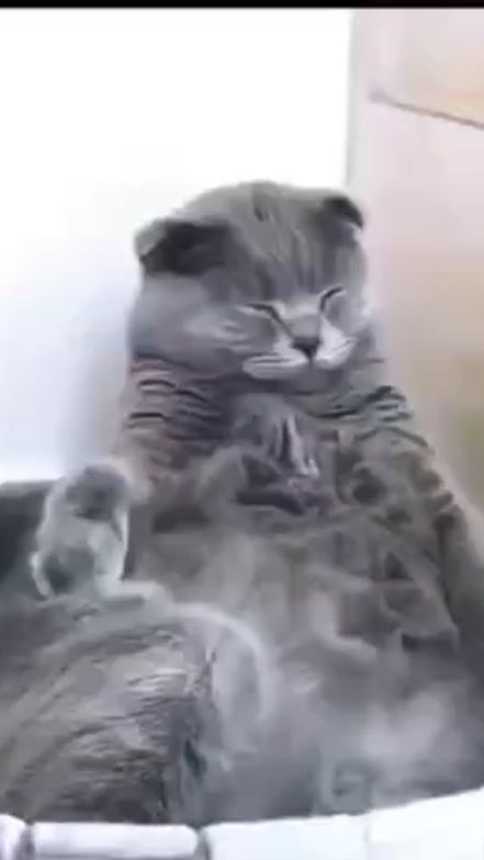 TikTok video thumbnail by wera.55