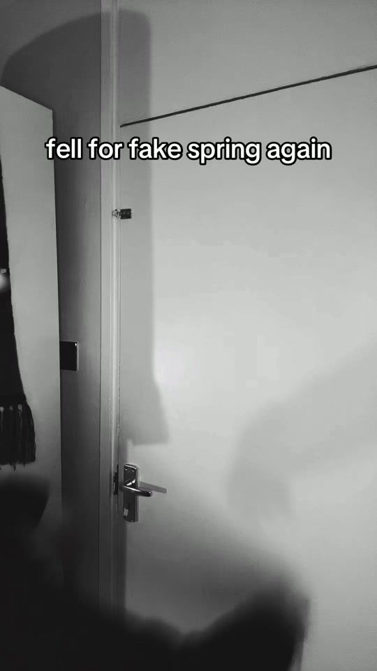 TikTok video thumbnail by oreugene